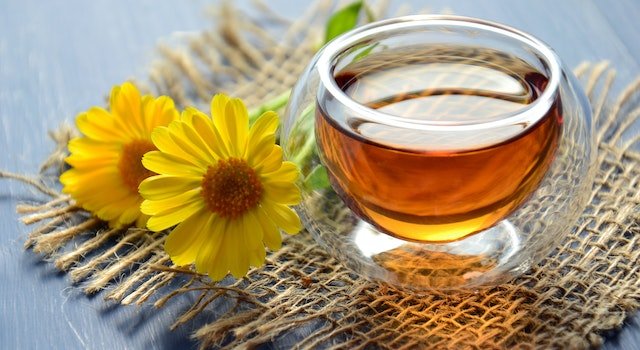 Pros And Cons Of Drinking Tea During Intermittent Fasting
