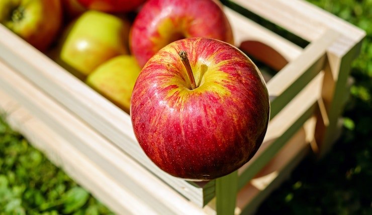 What Happens If You Consume Apples With Antibiotics?